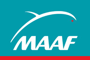maaf